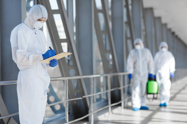 Best Real Estate Mold Inspection  in Whitehouse, TX