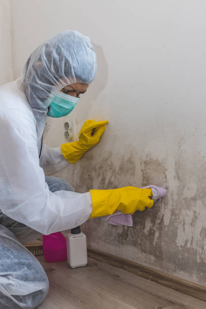 Best Indoor Air Quality Assessment  in Whitehouse, TX