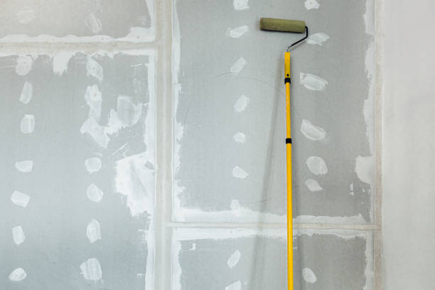 Best Mold Documentation for Insurance Claims  in Whitehouse, TX