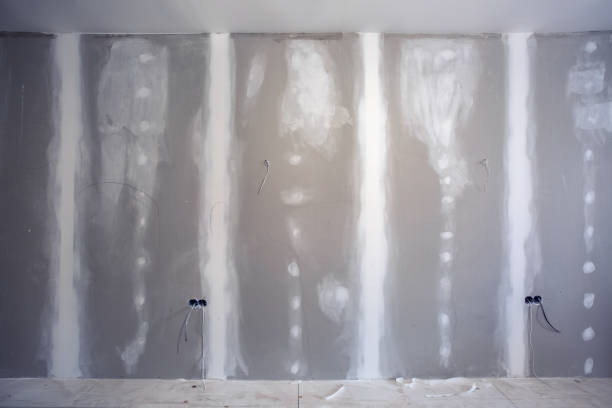 Best Post-Construction Mold Inspection  in Whitehouse, TX